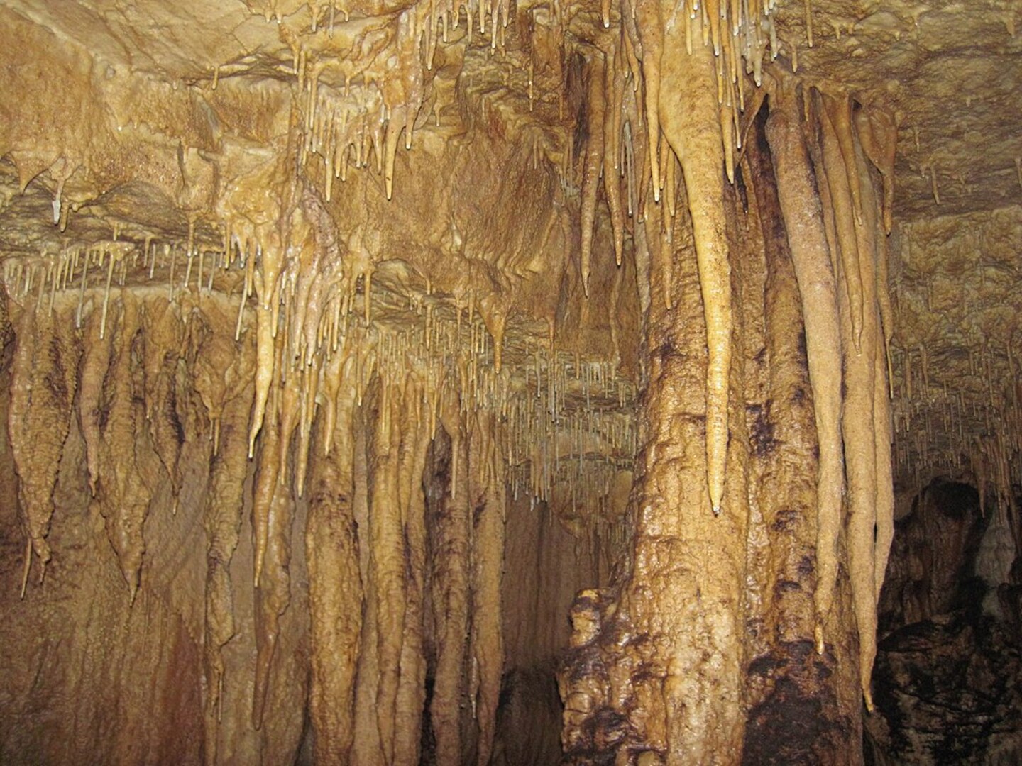Spectacular cave formations and limestone passages